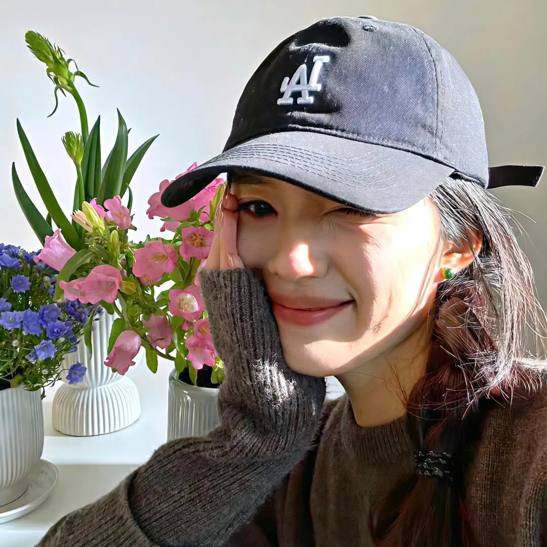 田教授家的28个保姆 海报