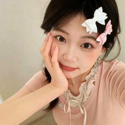 哥顿派克斯：镜头即武器 海报